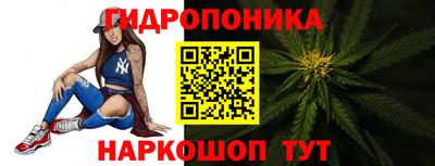 прущие грибы Мариинск