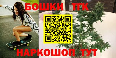 прущие грибы Мариинск
