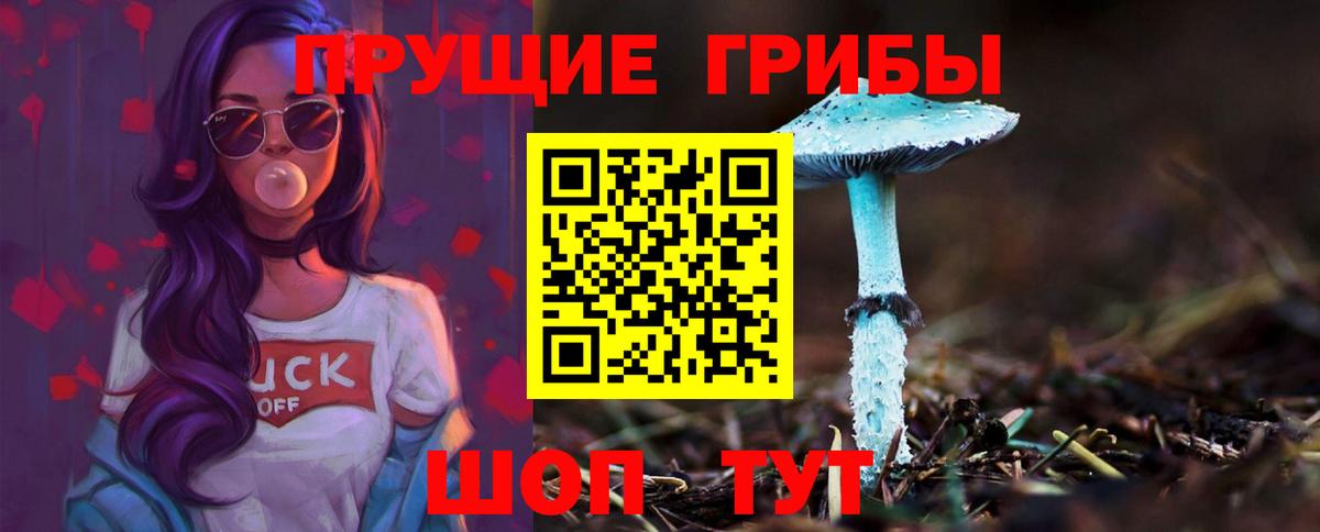 Галлюциногенные грибы Magic Shrooms  Вход с VPN  Калуга 